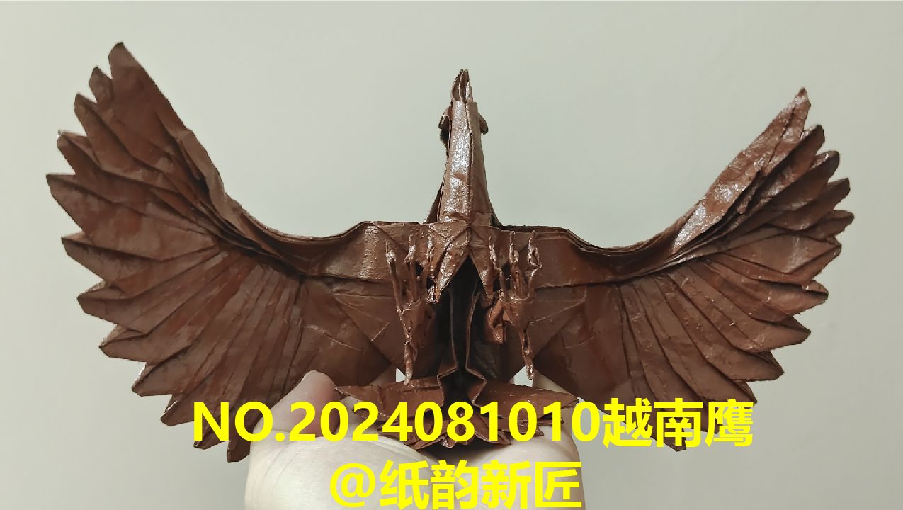 no2024081010越南鹰8月飞行生物主题折纸作品展示