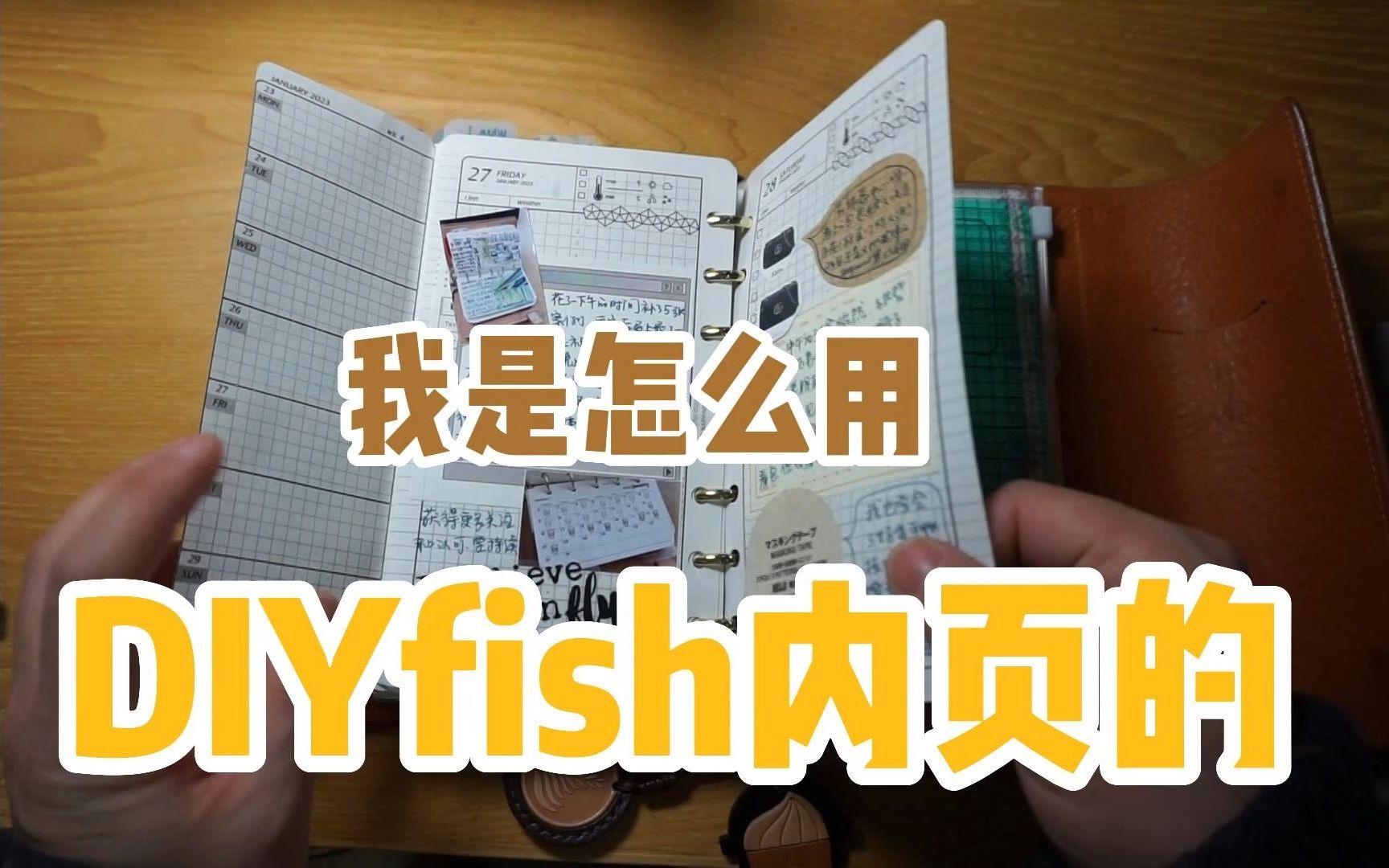 我是怎么用DIYfish内页的|经验分享哔哩哔哩bilibili