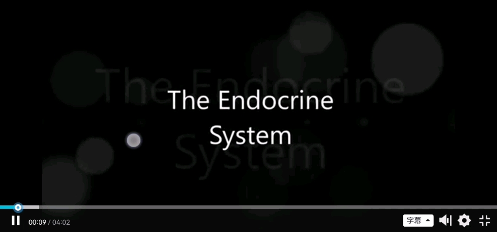 [图]The song of the endocrine system