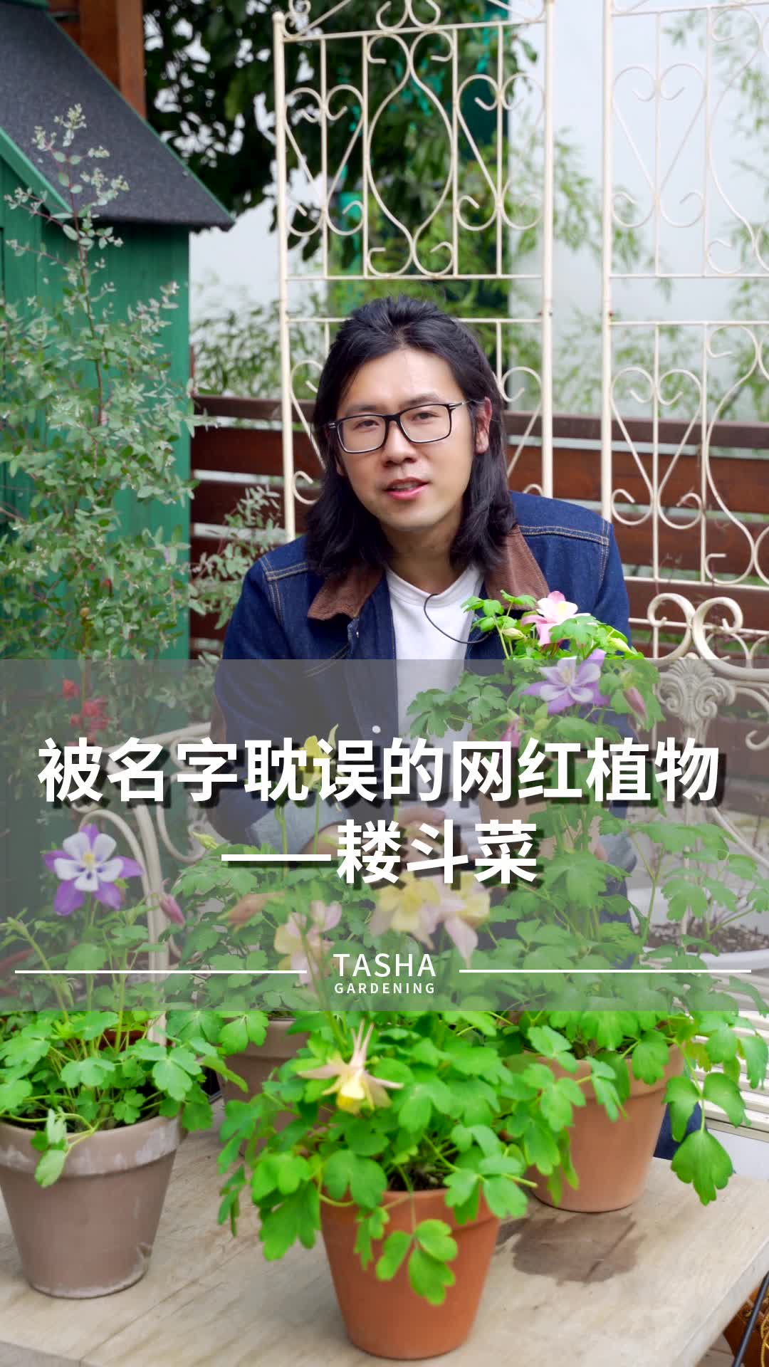 被名字耽误的网红植物——耧斗菜哔哩哔哩bilibili