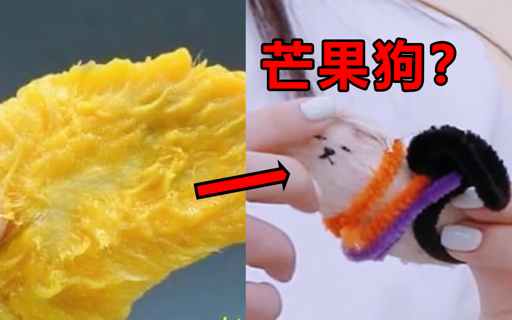 这种不上厕所的“小狗”都是谁在养？！【爱唱歌的大学生】