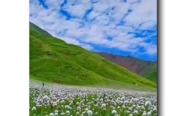 [图]春天里美丽的草原