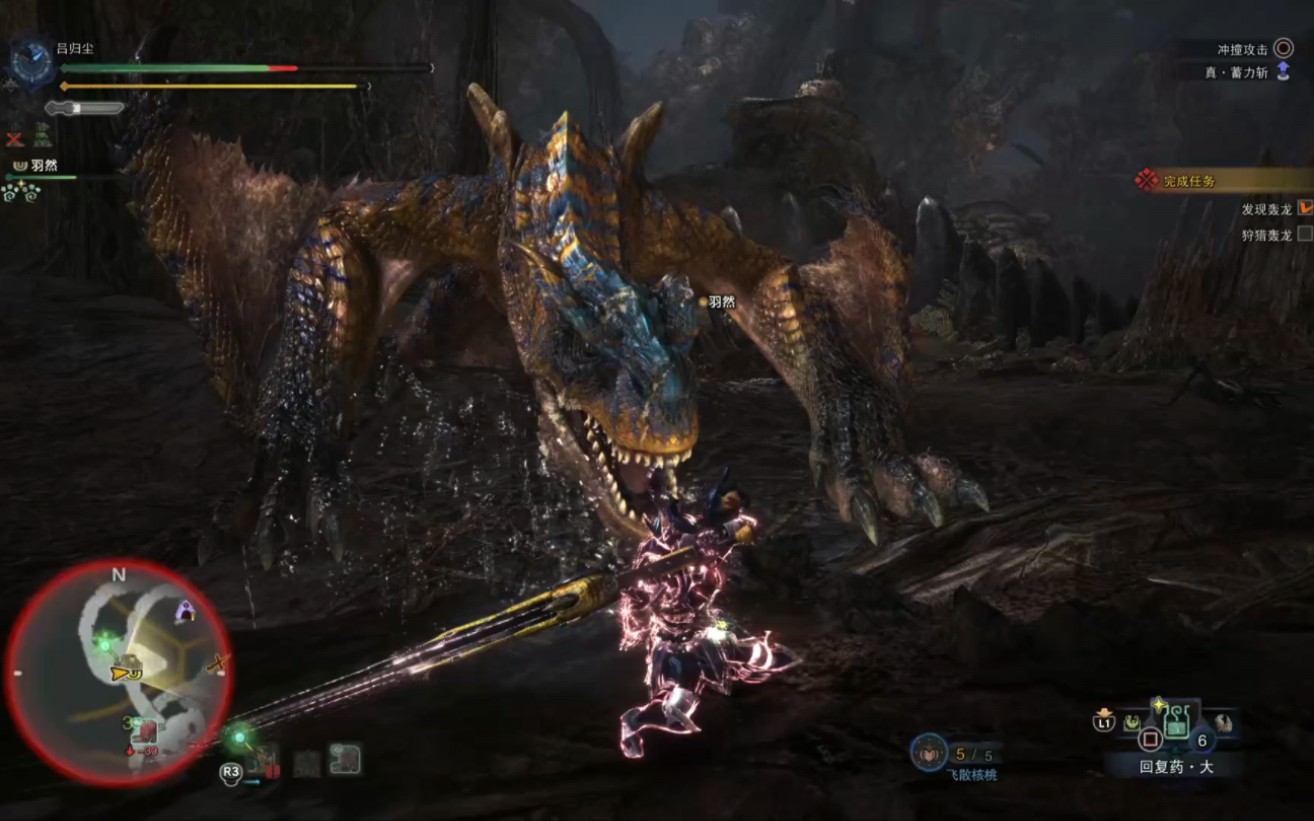 你怎么知道我大剑停了轰龙的龙车?