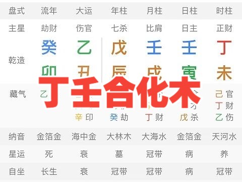 八字丁壬合化木!哔哩哔哩bilibili