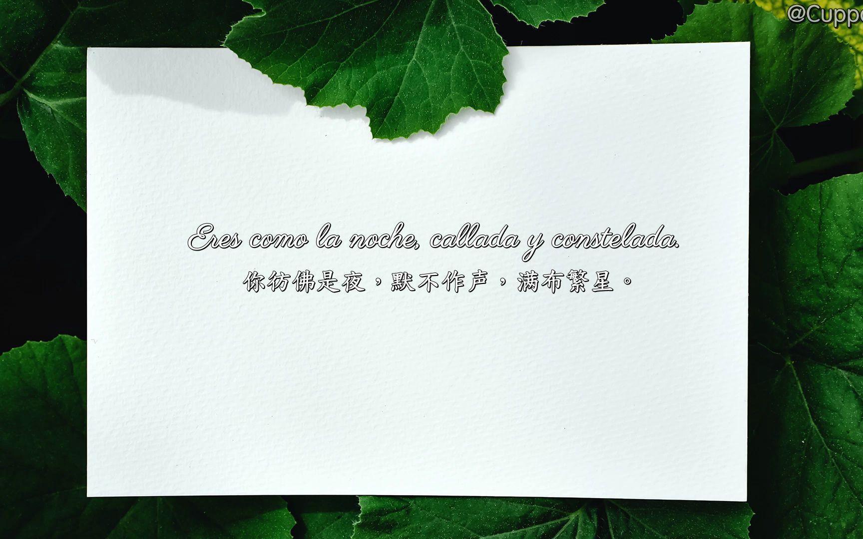 【西语诗歌朗读】Me Gustas Cuando Callas 《我喜欢你是寂静的》巴勃罗ⷨ‚鲁达哔哩哔哩bilibili