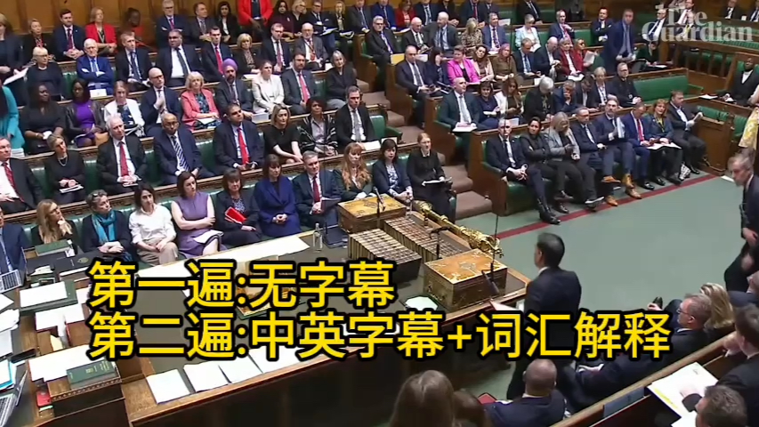 听懂这个,你的英语真厉害了 英国下议院辩论 中英字幕 词汇解释