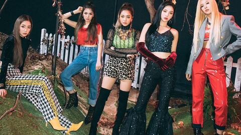 猫之初体验t Ara的宠物之旅 哔哩哔哩 Bilibili