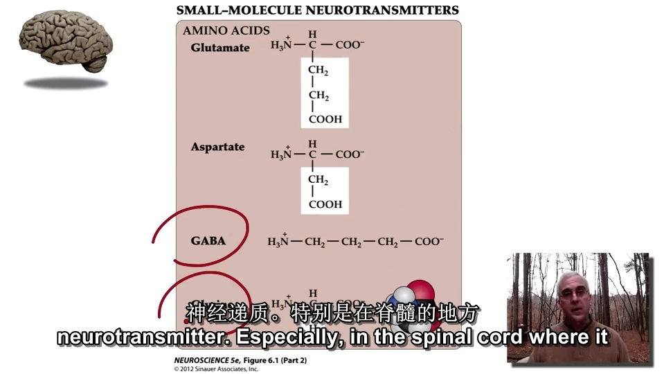 212 神经递质1(中文字幕)哔哩哔哩bilibili