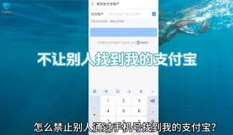 Download Video: 禁止别人通过手机号找到支付宝 设置不允许通过手机号向我转账