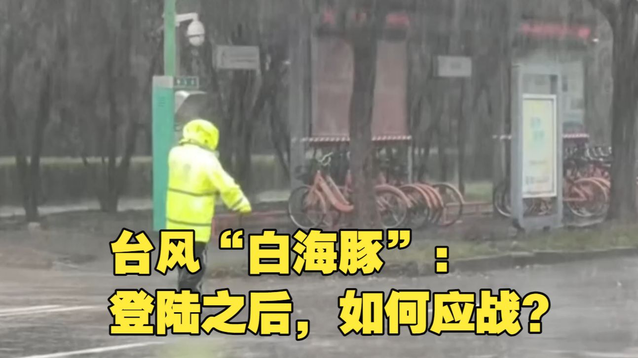 新闻1+1丨台风“白海豚”：登陆之后，如何应战？