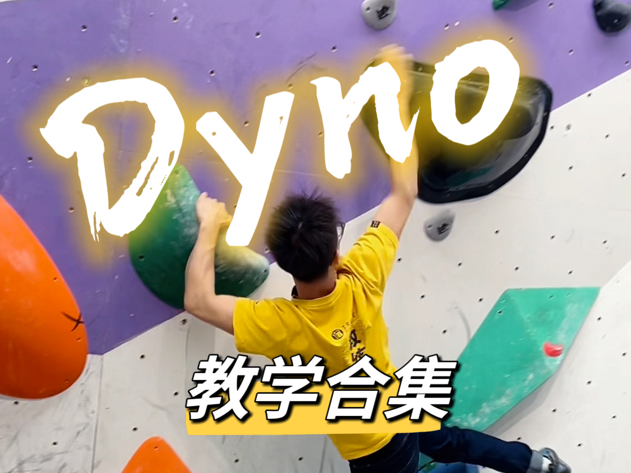 【Dyno教学合集】哔哩哔哩bilibili