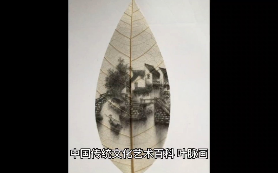 中国传统文化艺术百科叶脉画哔哩哔哩bilibili