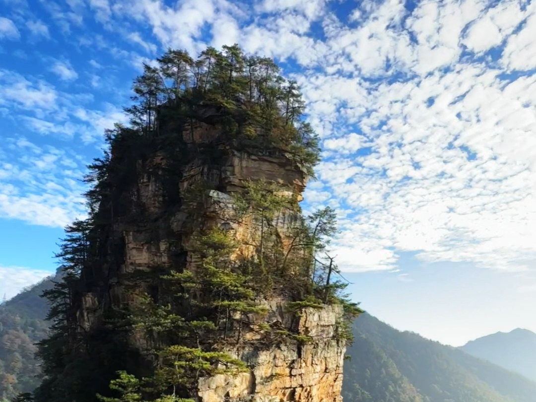 张家界天子山缆车:被称为张家界最美的景色之一.如果你第一次来,一定会被震撼到的!#张家界 #天子山 #缆车 #峰林哔哩哔哩bilibili