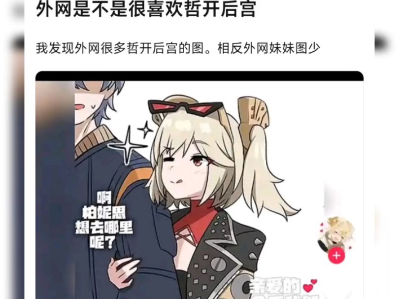 外网是不是很喜欢哲开后宫阿哔哩哔哩bilibili