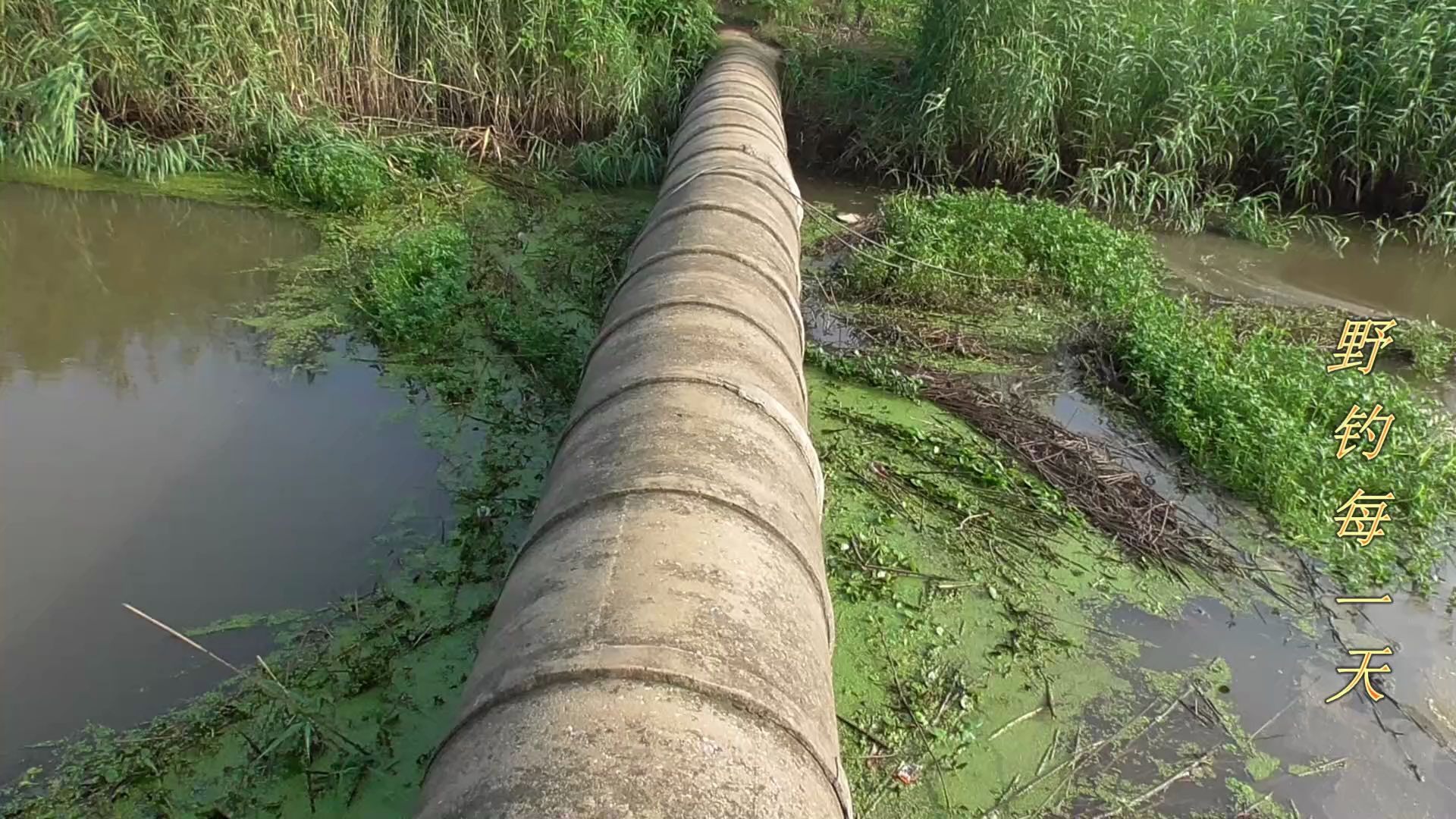 [图]去河边钓鱼遇到走水有什么办法解决？你只要找到这样的地方就行了