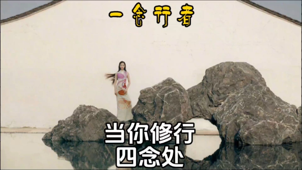 当你修行四念处——一念行者