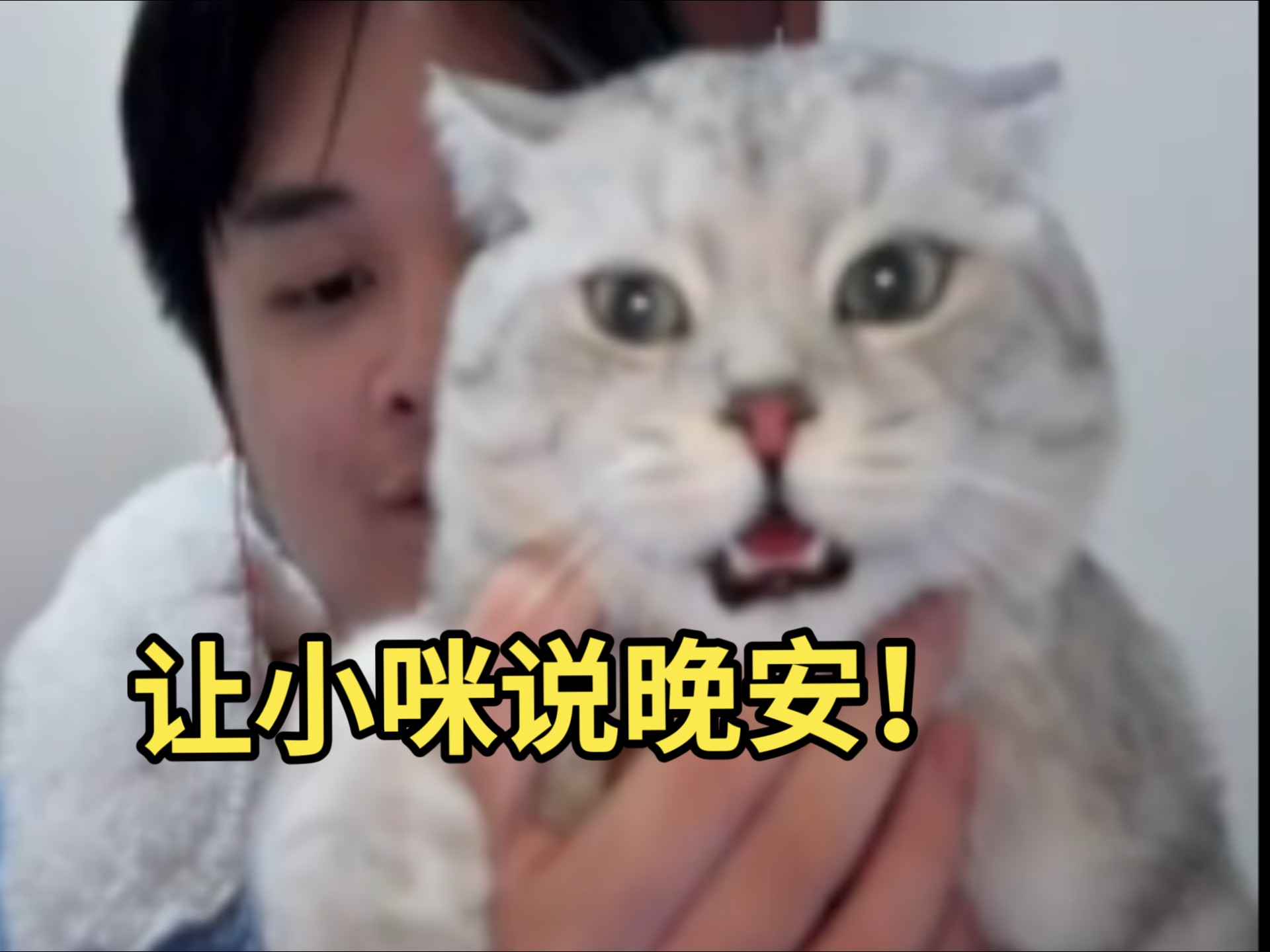 【罗太/看猫】小咪声音最夹的一集!-慕汐潮来-慕汐潮来-哔哩哔哩视频