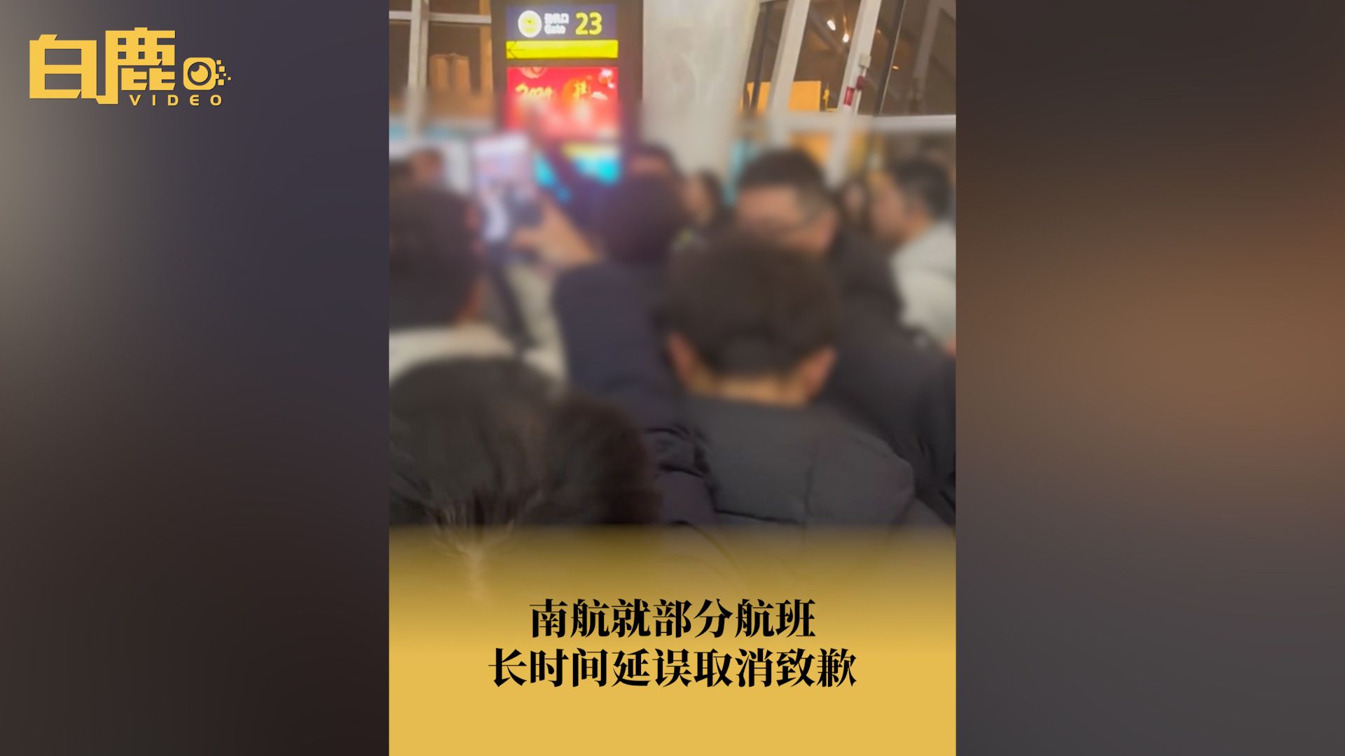 南航致歉航班延误取消哔哩哔哩bilibili