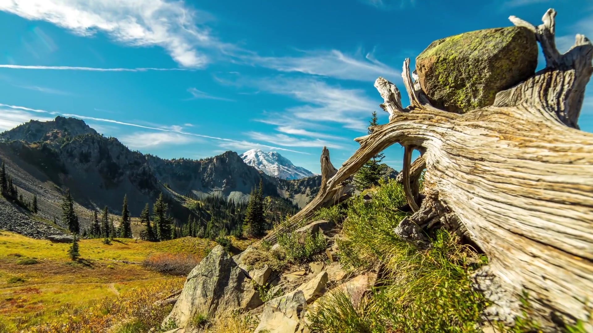 4K Nature Documentary Film  Mount Rainier Nationa哔哩哔哩bilibili