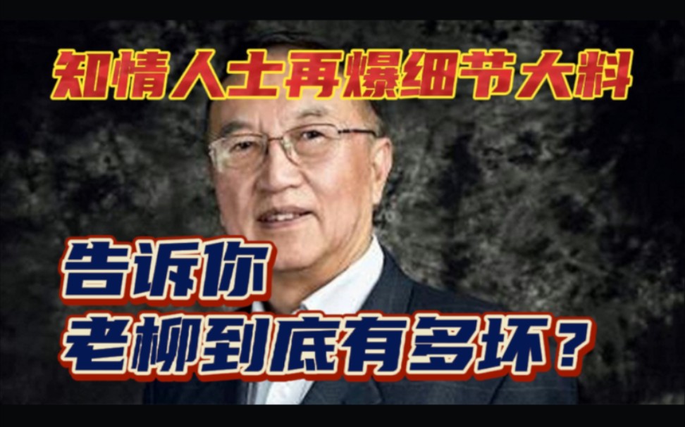 再爆老柳细节大料、告诉你他到底有多坏多贪?怎么阻止科技进步的哔哩哔哩bilibili