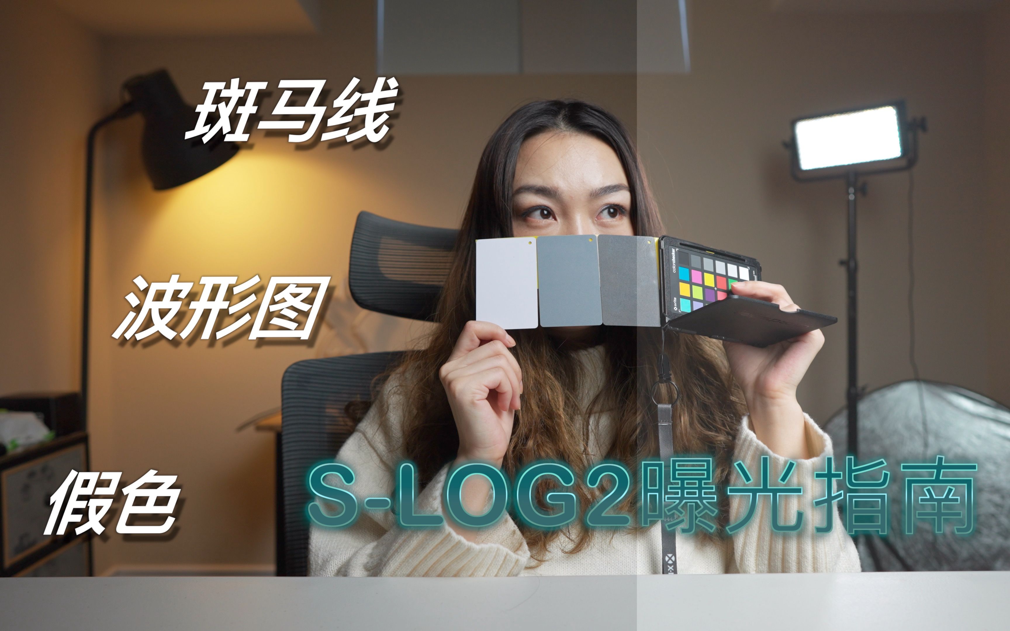 【搞定索尼slog2曝光】最大化利用相机内置斑马线与灰卡|如何使用假色与波形图辅助曝光|最大程度控制高光与暗部噪点溢出哔哩哔哩bilibili