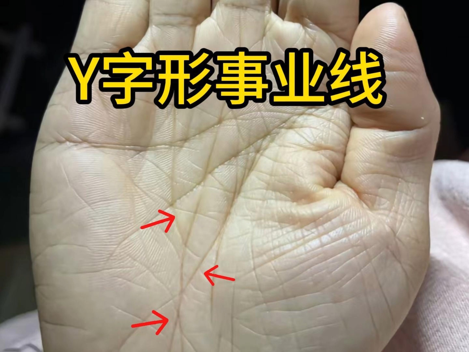 识人有术,y字型事业线