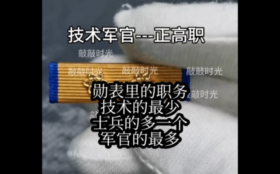 勋表职务齐了两个(专业技术军官与士兵管理),剩下的指挥管理军官职务属于高难度....哔哩哔哩bilibili