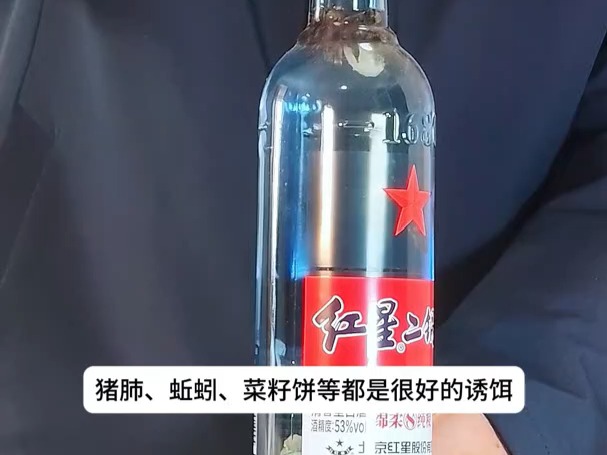 中草药药酒是诱捕龙虾和青虾的不二之选哔哩哔哩bilibili