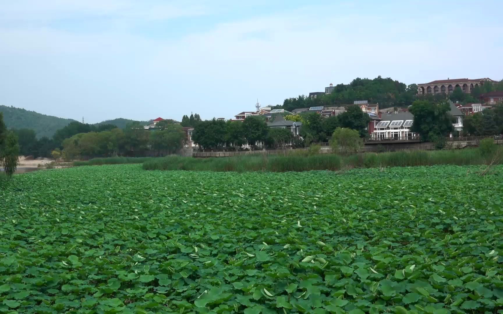 红螺湖旅游区图片