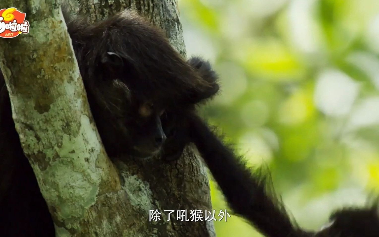 [图]02.丰富多样的神奇生物