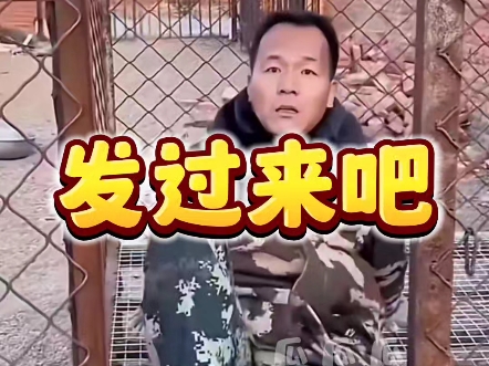 【潘宏爱玩狗】发过来吧-超级无敌瓜瓜瓜-超级无敌瓜瓜瓜-哔哩哔哩视频