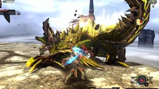 怪物猎人xx 武士道双剑斗技金雷公5 30 S评价 哔哩哔哩 つロ干杯 Bilibili