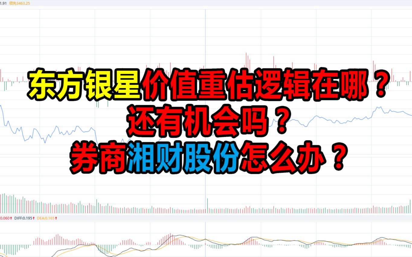 东方银星价值重估逻辑在哪?还有机会吗?券商湘财股份怎么办?哔哩哔哩bilibili