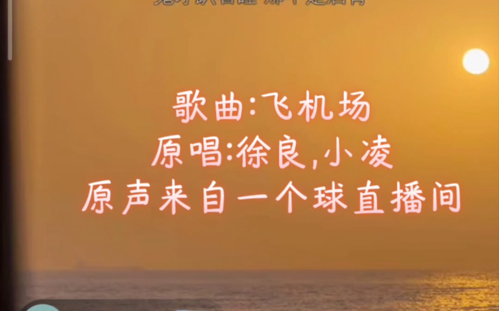 1个球直播间音频 《飞机场》