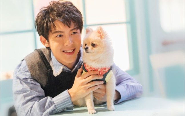 朱元冰【生贺】 || 角色x综艺x花絮|各种混剪 || 消愁_哔哩哔哩 (゜