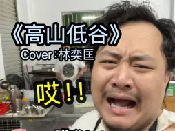 Download Video: 在饭店唱《高山低谷》，客人的反应实在太离谱！！