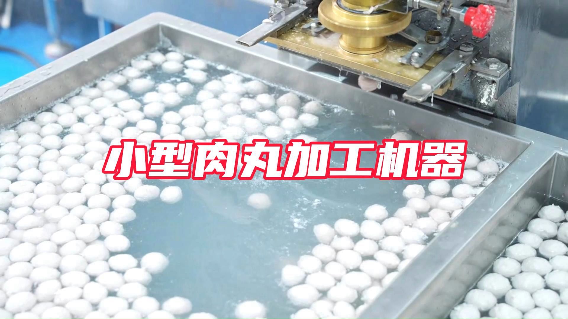 小型自动加工肉丸机器整套丸子生产设备