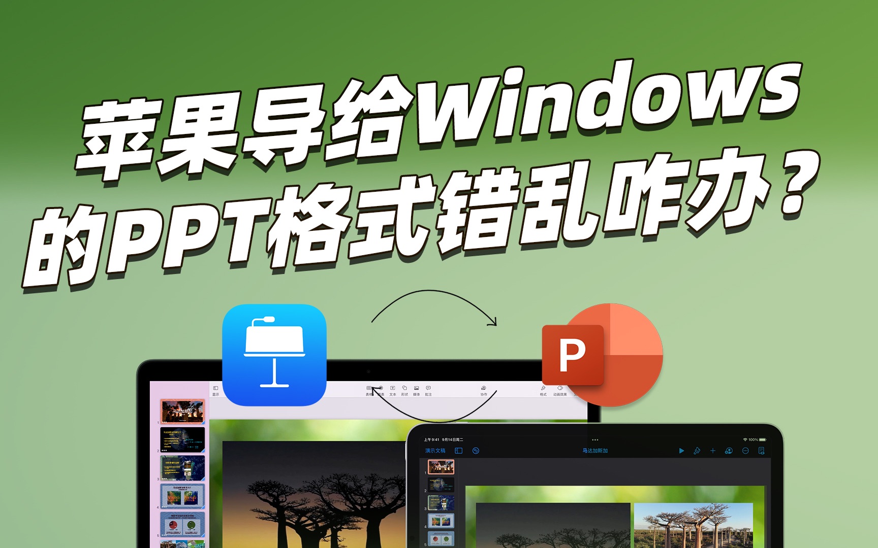 苹果传给Windows的PPT格式乱了解决办法哔哩哔哩bilibili