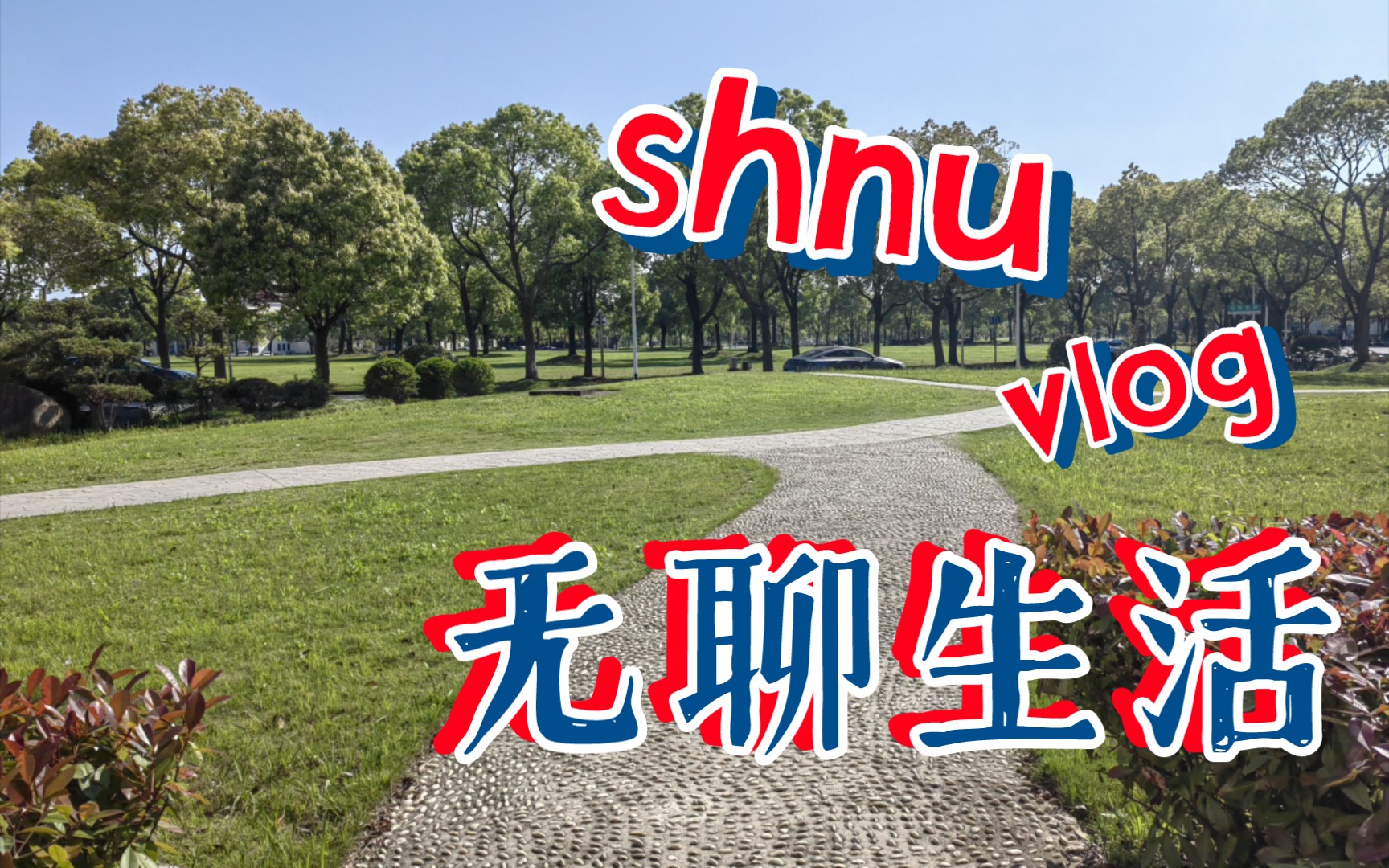 平平无奇大学生活