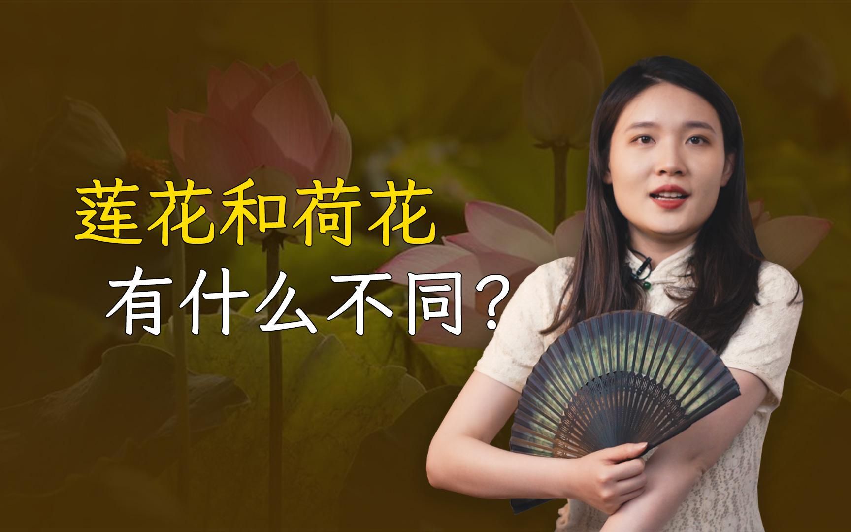 [图]为啥佛教爱用莲花而不是荷花？这两种花有什么区别呢？