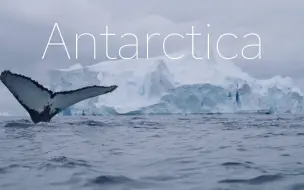 Download Video: 环球旅行之南极洲——南极洲 ANTARCTICA