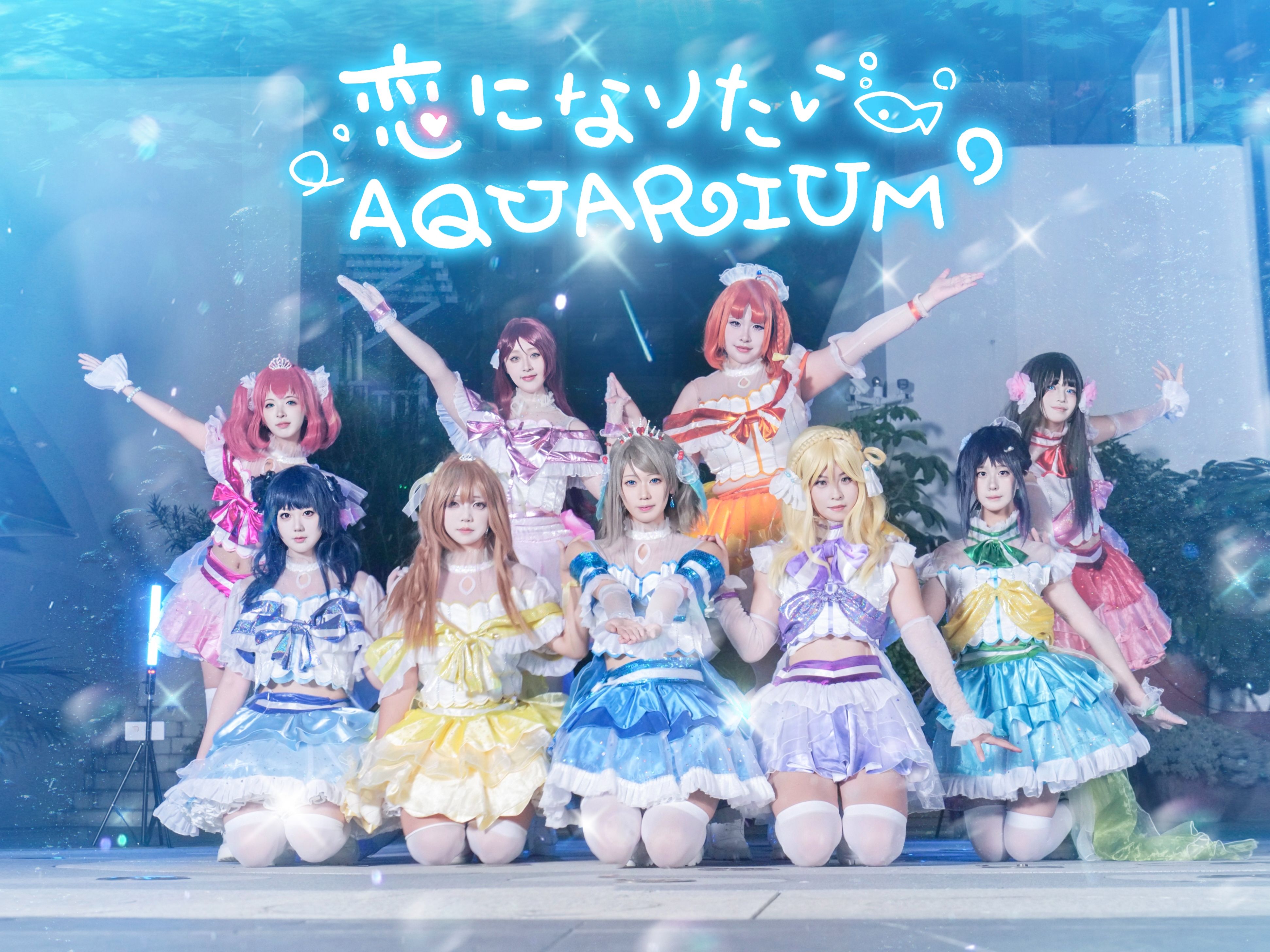 恋爱水族馆歌词恋爱秘籍