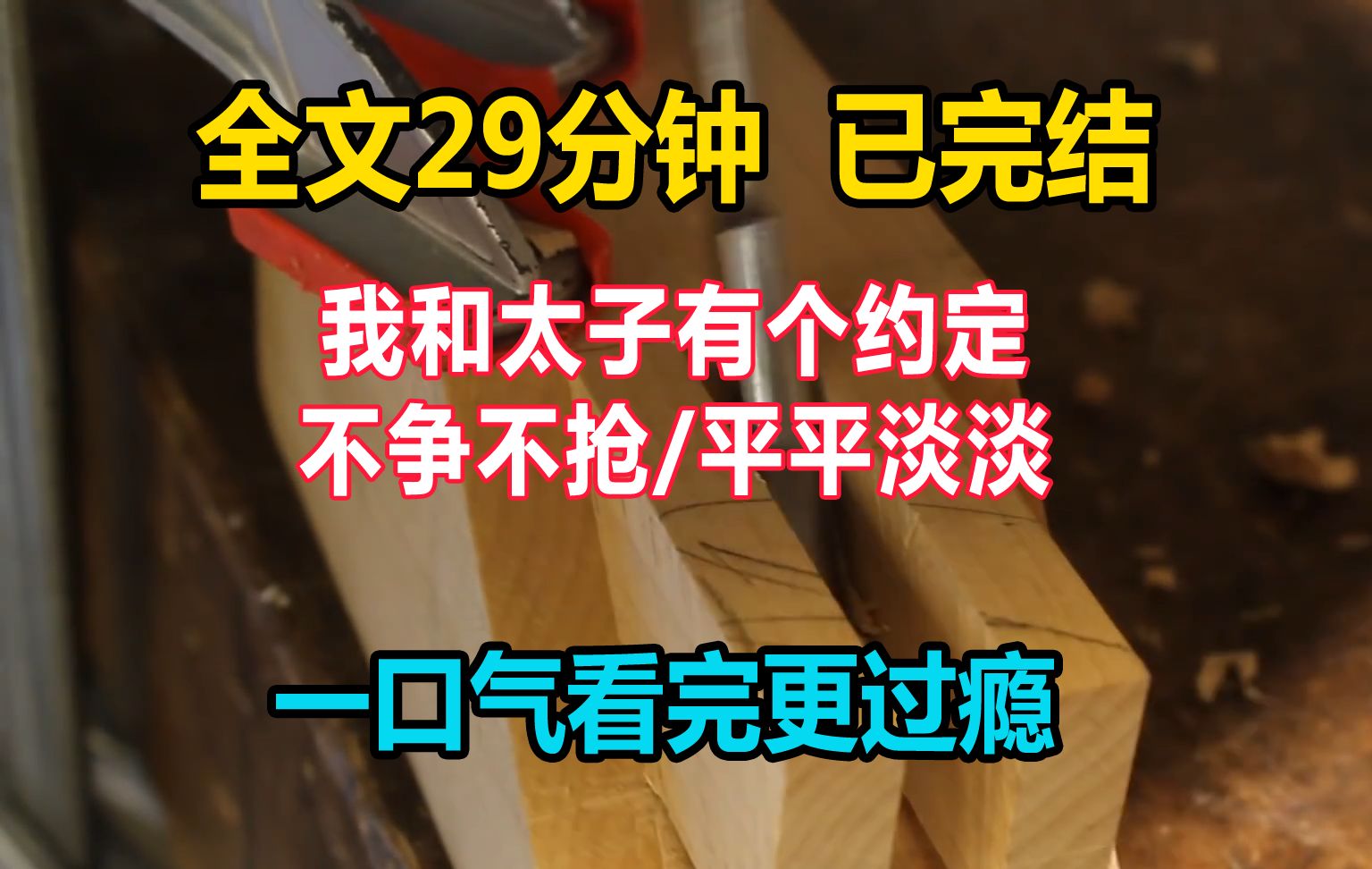 [图]【完结文】 我和太子有个约定。 我老老实实做他的太子妃，替他护住不得皇后喜欢的侧妃陈柳招。