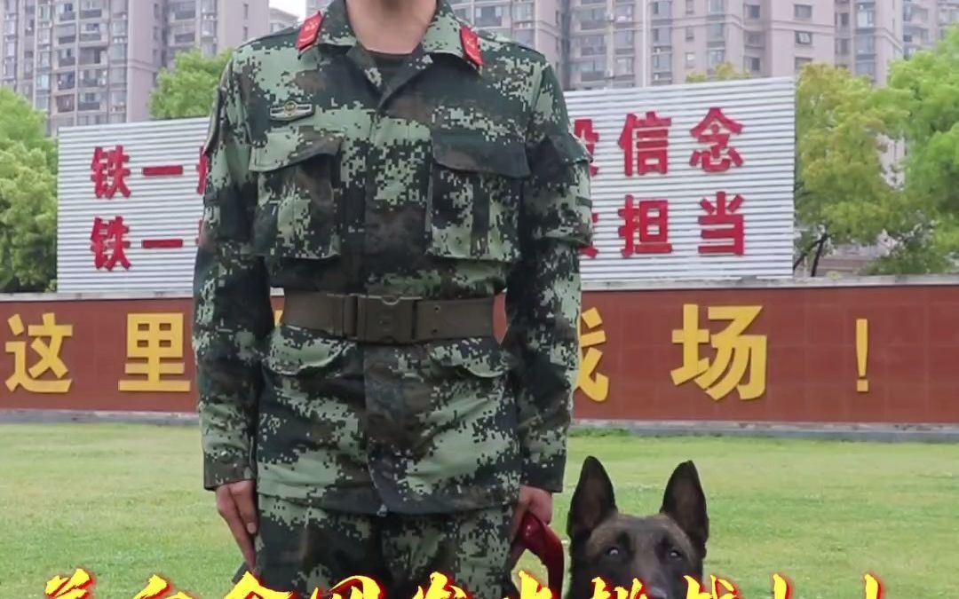 [图]@云南武警 安徽武警前来应战，今天，咱们来点更难的#军犬#挑战（钟斌 缪仁峰 秦志远 王营广）