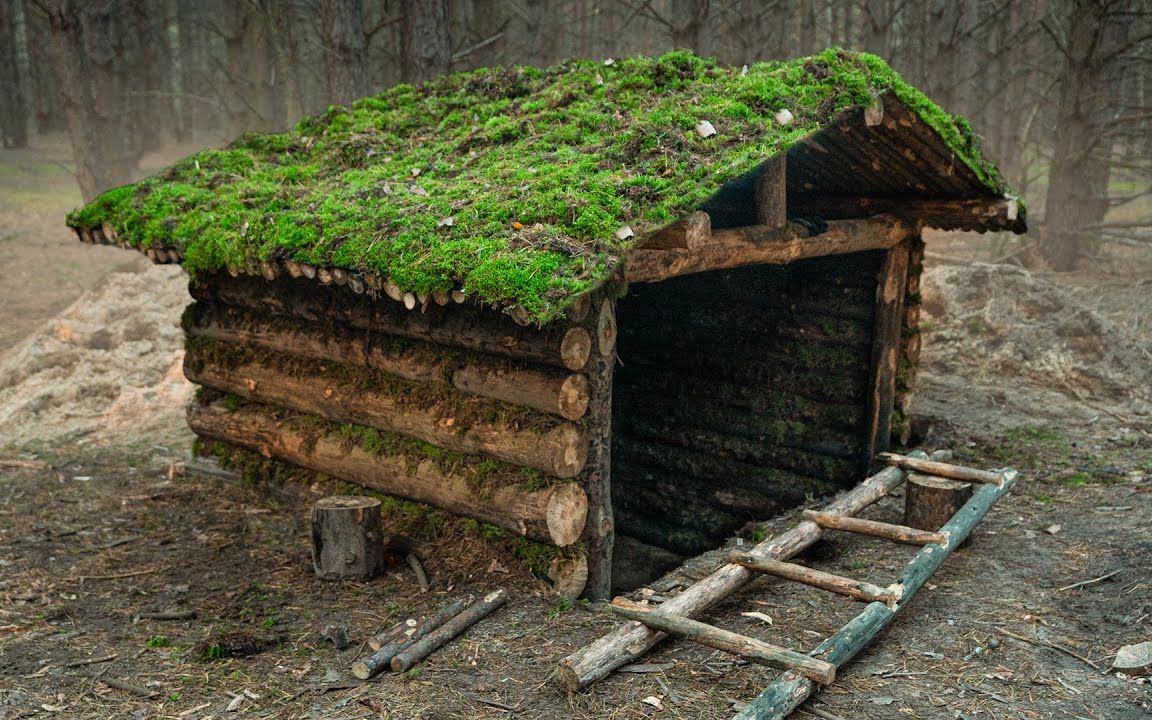 【life in the wild】半地下温暖庇护所