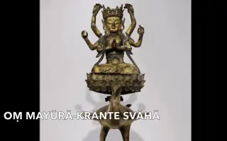 孔雀明王真言 搜索结果 哔哩哔哩 Bilibili