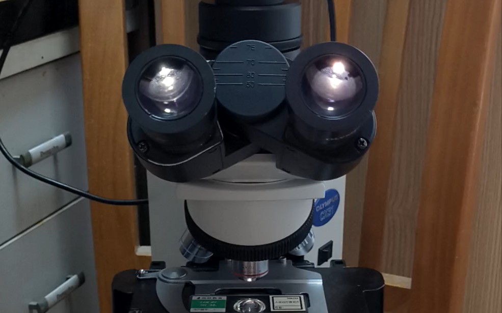 奥林巴斯cx31显微镜