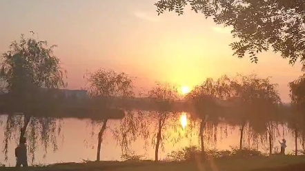 [图]夏潜秋来，霜渐起。夕阳的余晖和生活总是形影不离