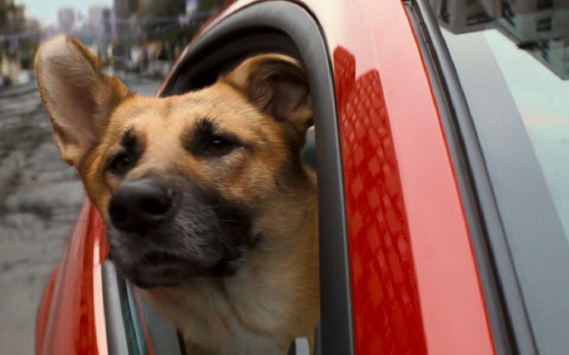 我是传奇之山姆它的眼里只有你