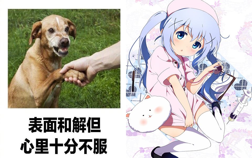 【沙雕集锦】表面和解但心里十分不服Σ(19661917)17那些年